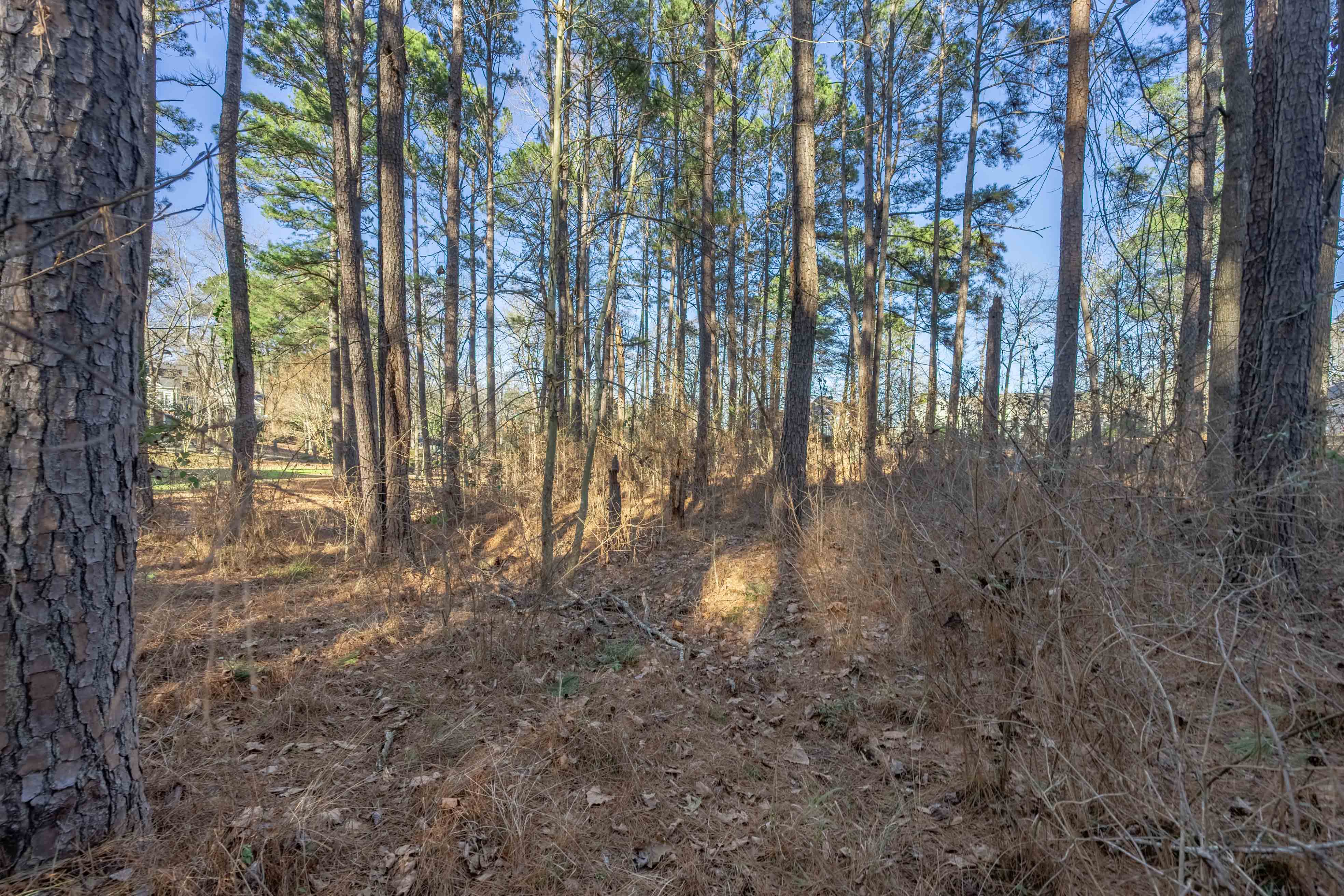 155 Barrington Hall Drive, NE image 7